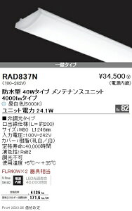 RAD837N Ɩ SOLID 40W×2 4000lm 5000K