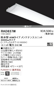 RAD837W Ɩ SOLID 40W×2 4000lm 4000K