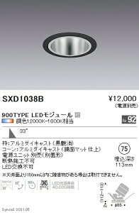 SXD1038B 遠藤照明 Synca ユニバDL 900TYPE 鏡面 広角黒φ75【電源ユニット別売】