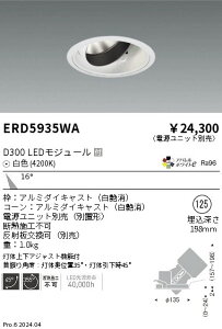 ERD5935WA �����Ɩ� DUAL ���j�o�[�T���_�E�����C�g D300 ���F4200K ���p�y�d�����j�b�g�ʔ��z