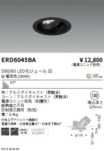 ERD6045BA 遠藤照明 DUAL ユニバーサルダウンライト D90 D60 電球色2800K 超広【電源ユニット別売】