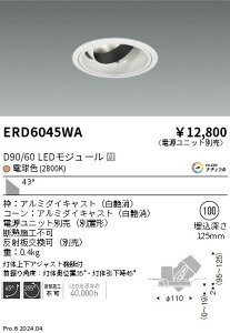 ERD6045WA 遠藤照明 DUAL ユニバーサルダウンライト D90 D60 電球色2800K 超広【電源ユニット別売】