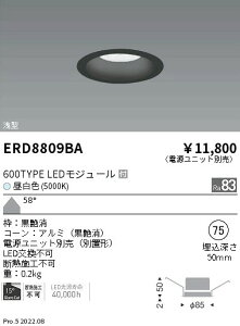 ERD8809BA �����Ɩ� COB�x�[�X�_�E�����C�g ���R�[�� 600�^�C�v 5000K ���L�p�y�d�����j�b�g�ʔ��z