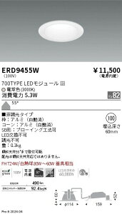 ERD9455W �����Ɩ� �x�[�X�_�E�����C�g �� 700�^�C�v ��100 �d���F3000K �񒲌� �g�U