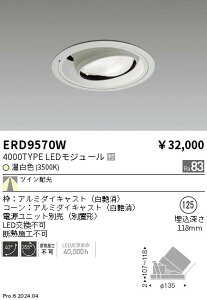 ERD9570W �����Ɩ� ���j�o�[�T���_�E�����C�g 4000�^�C�v Ra83 �����F3500K TW�y�d�����j�b�g�ʔ��z