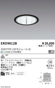 ERD9812B Ɩ Tunablex[X_ECg 3000^Cvʃ}bg gUydjbgʔz