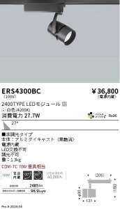 ERS4300BC �����Ɩ� �z���_�N�g�pLED�X�|�b�g���C�g COB �� 2400�^�C�v �A�p���� ���F4200K 31�x