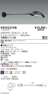 ERS5227HB Ɩ COBŔ 2000^Cv F4000K Chz