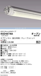 RAD487NA Ɩ NN ^Cv IveBJ z `[ujbgyK@풍Ӂz