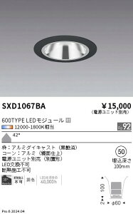 SXD1067BA �����Ɩ� Synca�O���A���X�x�[�X�_�E�����C�g 600�^�C�v ���L�p ���y�d�����j�b�g�ʔ��z