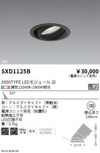 SXD1125B �����Ɩ� Synca��^���j�o�[�T���_�E�����C�g 3000 ���p ���y�d�����j�b�g�ʔ��z