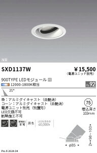 SXD1137W �����Ɩ� Synca ��^���j�o�[�T���_�E�����C�g 900TYPE ���p ���y�d�����j�b�g�ʔ��z