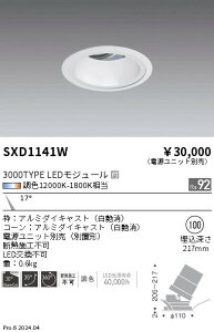 SXD1141W �����Ɩ� Synca ���j�o�[�T���_�E�����C�g 3000TYPE ���p ���y�d�����j�b�g�ʔ��z