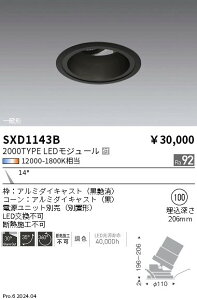 SXD1143B �����Ɩ� Synca ���j�o�[�T���_�E�����C�g 2000TYPE ���p ���y�d�����j�b�g�ʔ��z