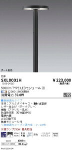 SXL8001H �����Ɩ� Synca �~�Ռ^�|�[���� �t���b�g�J�o�[�^�C�v�y����̂݁z�y�|�[���ʔ��z