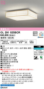 OL291025BCR I[fbN aV[OCg `6  F BluetoothΉ