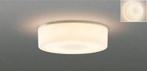 JBK42162L �����d�@ LED���^�V�[�����O���C�g �d���F