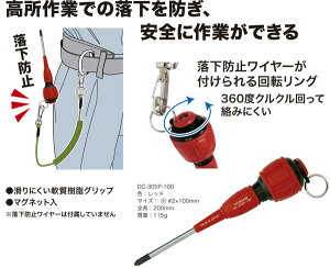 DC-305P-100 WFtR `炭hCo[(vX^Ah~Ot)