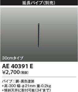 AE40391E RCY~Ɩ CeAt@ ݂艺pCv30cm^Cv