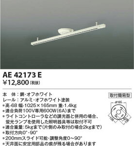 AE42173E RCY~Ɩ tȈՌ^XChRZg(1025×150)