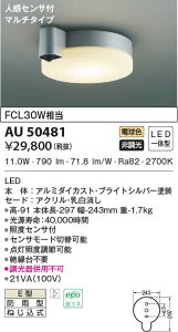 AU50481 RCY~Ɩ lZT[tV[OCg(11.0WAdF)