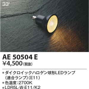 AE50504E �R�C�Y�~�Ɩ� LED�d��