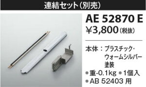 AE52870E �R�C�Y�~�Ɩ� �A������