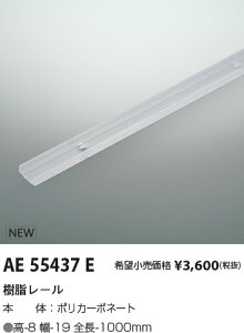 AE55437E �R�C�Y�~�Ɩ� �������[�� 1m�y�K���@��Ӂz