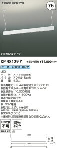 XP48129Y RCY~Ɩ z_Ng[ ݉^ ^ 75×2 ԐڏƖt  Fy݋ʔzyEzsz