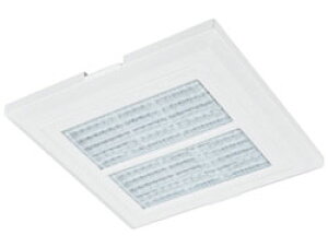 P-13GLSF2 OH rCpO(OttB^[^Cv)