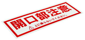 y󒍕izTAFKCS lOX JӃV[ 10yszyLZsz