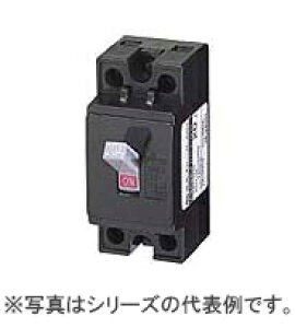 CB32X2P30A �����H�� ���S�u���[�J�[ 2P 30A 2P2E