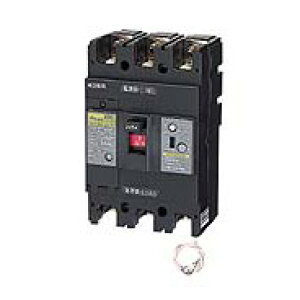 NE228NA 3P 125A �����H�� �P3�����������ی�t�T�[�L�b�g�u���[�J�EE�V���[�Y(�o�ό`) �t���[��AF225�A�ɐ�3P�A��i�d��125A