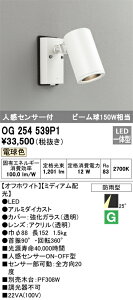 OG254539P1 I[fbN lZT[t OpLEDX|bgCg[~fBAz](13.9WAdF)