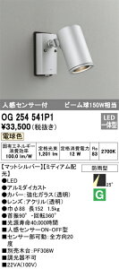 OG254541P1 I[fbN lZT[t OpLEDX|bgCg[~fBAz](13.9WAdF)