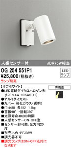 OG254551P1 I[fbN lZT[t OpLEDX|bgCg(vʔ)