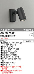 OG254555P1 I[fbN lZT[t OpLEDX|bgCg(vʔ)