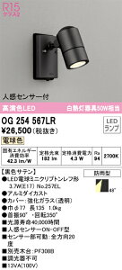 OG254567LR I[fbN lZT[t OpX|bgCg dF