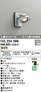 OG254896 I[fbN lZT[t OpLEDX|bgCg(13.5WAdF)