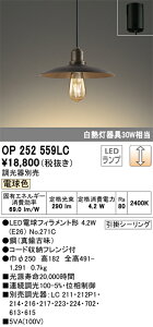 OP252559LC �I�[�f���b�N LED�y���_���g���C�g(�����A4.2W�A�d���F)