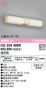 OG254499R I[fbN lZT[t|[`Cg FyOG254499̌p@z