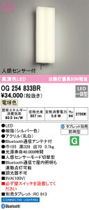 OG254833BR I[fbN lZT[tLED|[`Cg BluetoothΉ dFyOG254833BČp@z