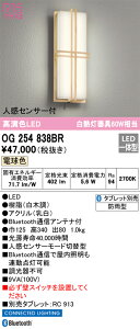 OG254838BR I[fbN lZT[tLED|[`Cg BluetoothΉ dFyOG254838BČp@z
