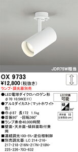 y@omzOX9733 I[fbN LEDX|bgCgyvEʔzyXܕiz