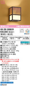 OB255200BCR I[fbN auPbgCg  F BluetoothΉ