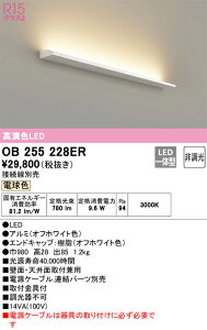 OB255228ER �I�[�f���b�N LED�u���P�b�g���C�g �d���F