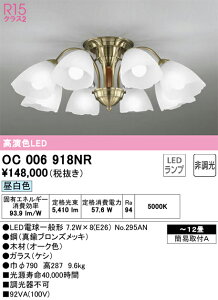 OC006918NR I[fbN LEDVfA `12 F