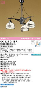 OC125011BR I[fbN ay_gCg BluetoothΉ  F