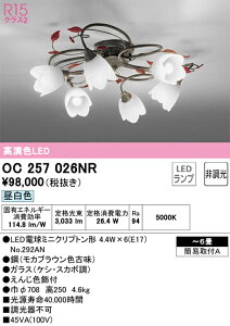 OC257026NR I[fbN LEDVfA `6 F