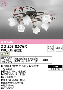 OC257026WR I[fbN LEDVfA `6 dF